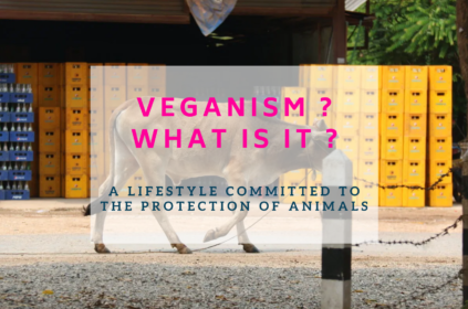 What is Veganism?