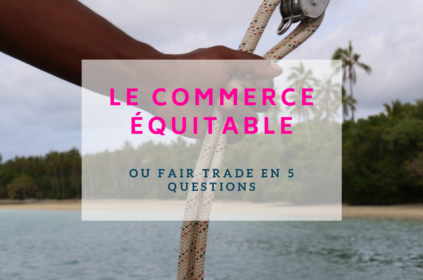 Le commerce équitable en questions