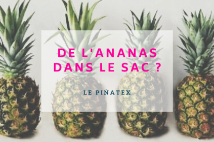 De l’ananas dans le sac ?