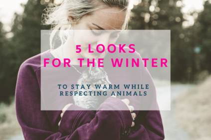Ethical and vegan winter shopping selection