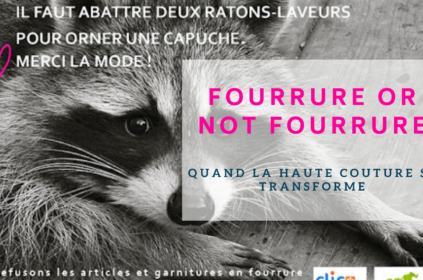 Quand la Haute Couture se transforme : Fourrure or not fourrure ?